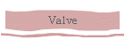 Valve